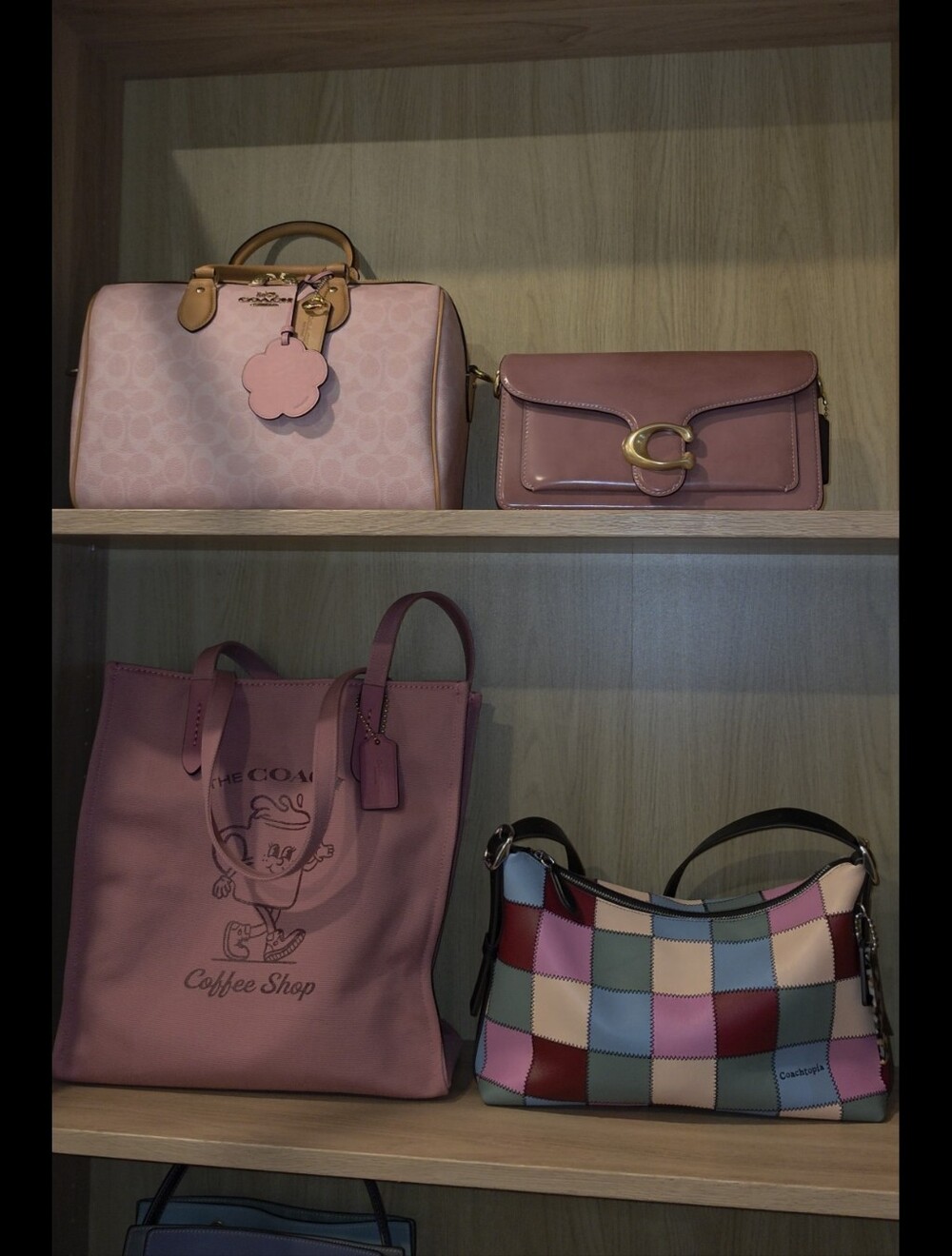Coachtopia Alter Ego Shoulder Bag - Picture 3 of 4